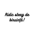 Steag de biruință