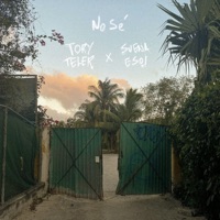 No Sé - Single - Tory Teler & Suena Eso!