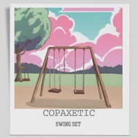Swing Set (feat. nvno) - Single - Copaxetic & screwyounick