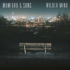 Snake Eyes - Mumford & Sons