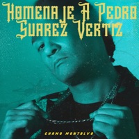 Homenaje A Pedro Suarez Vertiz - Single - Chamo Montalvo
