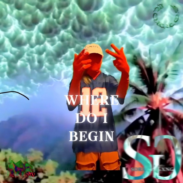 WHERE DO I BEGIN