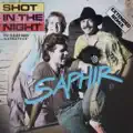 Shot In The Night