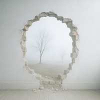 i'm still - Single - Brezie