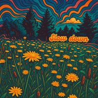 Slow Down (feat. LPC) - Single - K-efe