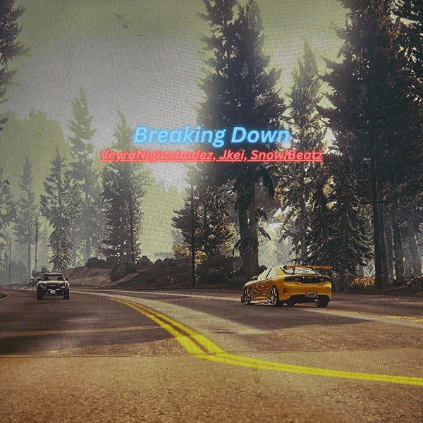 Breaking Down (feat. Jkei & SnowiBeatz)
