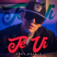 Te Vi - Single - dany mata 14