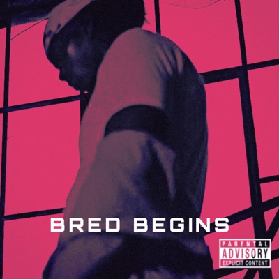 Bred Begins