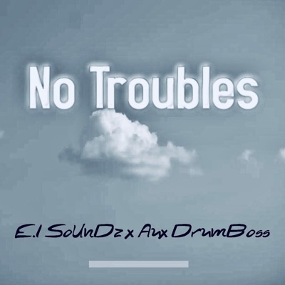 No Troubles (feat. E.I SoUndz) - Single