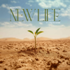 Taylented - new life (feat. Chrétien) artwork
