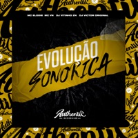 Evolução Sonorica (feat. Mc VN, DJ VICTOR ORIGINAL & Mc Elodie) - Single - Dj Vitinho Zn