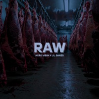 Raw - Single - Acre Vibin & Lil Sanzs