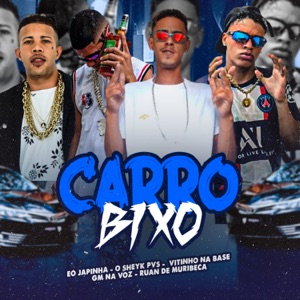 Carro Bixo (feat. Mc Magrinho, Peso Produtora, eo japinha & Ruan de Muribeca)