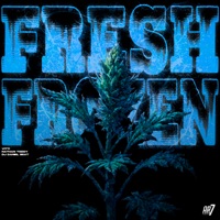 Fresh Frozen - Single - VITTI, Nathan Toddy & DJ DANIEL BEAT