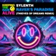 Raver s Paradise Thieves of Dreams Remix Single