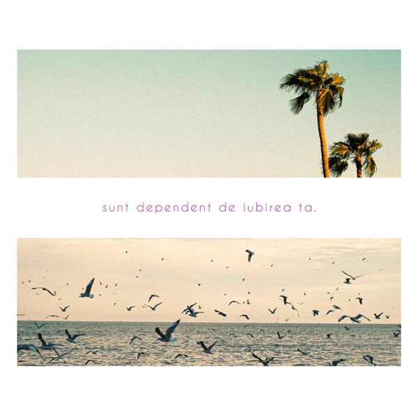 Sunt dependent de iubirea ta