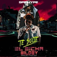 Te Solté - Single - Wildey & El Micha