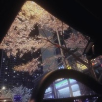 SCHEMIN - Single - BREEZEFORE