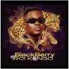 HD ROI KONGO - BLACKBERRY
