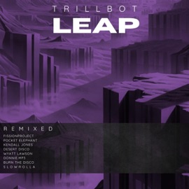 Move Slow (Burn The Disco Remix) TrillBot & Burn The Disco