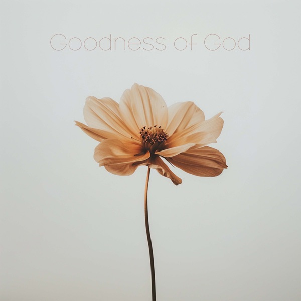 Goodness of God - Single