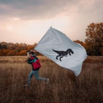 Dinosauri - Single