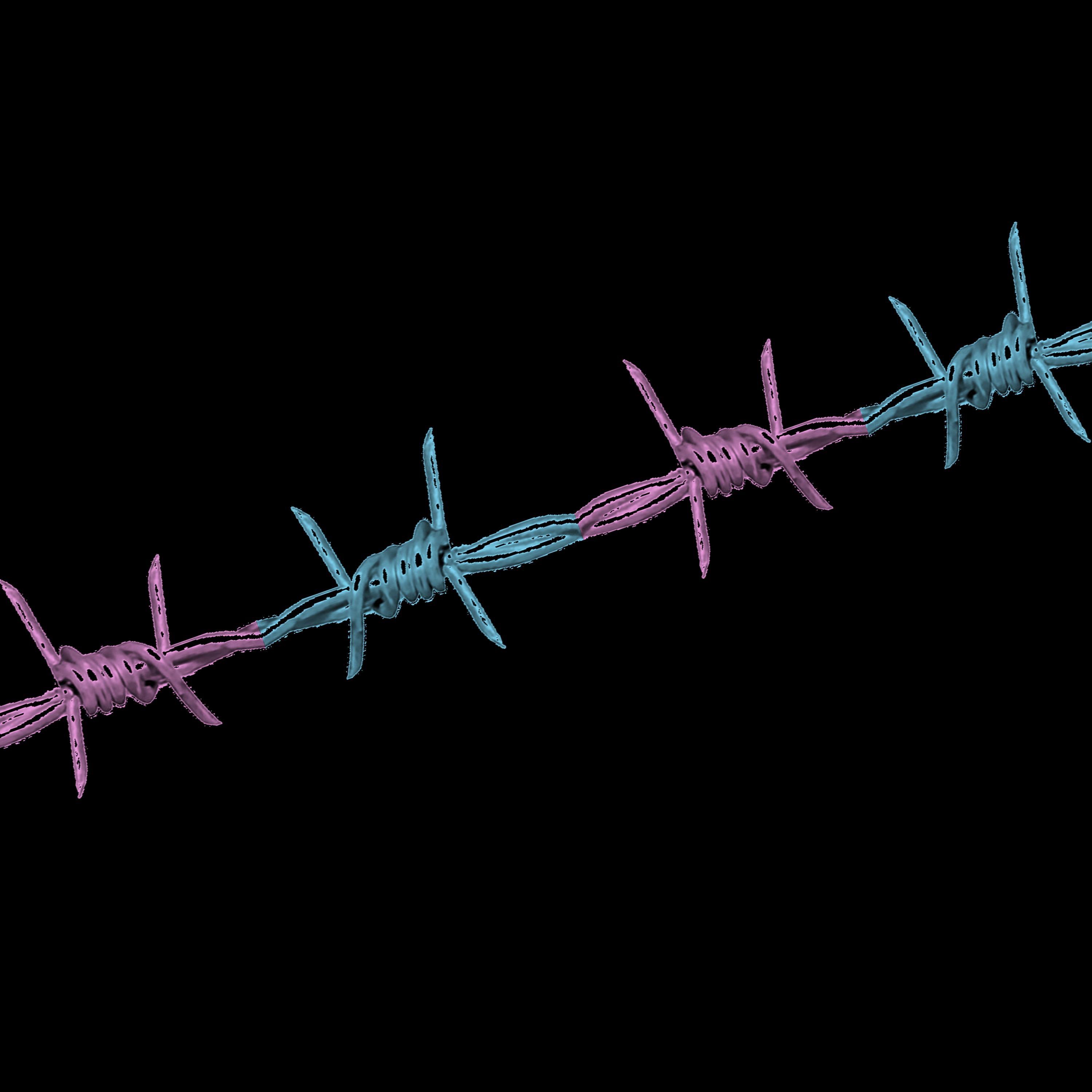 Barbed-Wire Words - Single