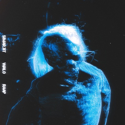 SOUL (feat. WAL0 & RAAP) - Single