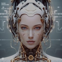 High in the Sky - Single - Sansi & Angie Bee