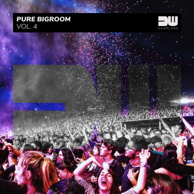 Pure Bigroom, Vol. 4
