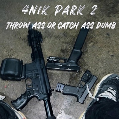 4NIK pt2 (feat. Zipsum dee) [Radio Edit] - Single