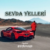 Sevda Yelleri artwork