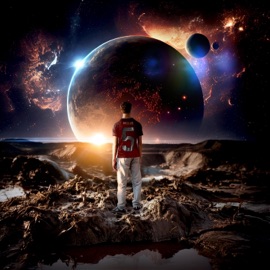 Dentro queste Nike Wolve