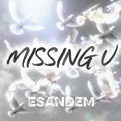 MISSING U (feat. Lisa K & ABACHAA) - Single