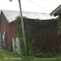 Acoustic Sanctuary Project, Vol. 5 - Ross Hammond