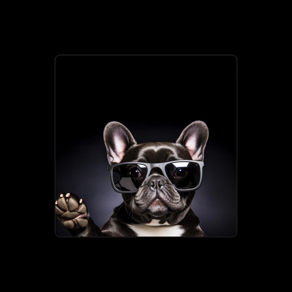 Dog Audio Therapy's avatar