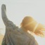 Daydream - Single