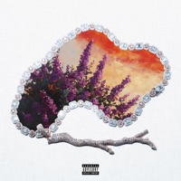 Orgonabokor - Manuel