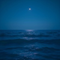 Ode To Lindsey Stirling - Single - David M. Robbins