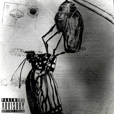 Sketch - Single