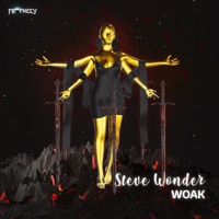 Steve Wonder - Single - WOAK