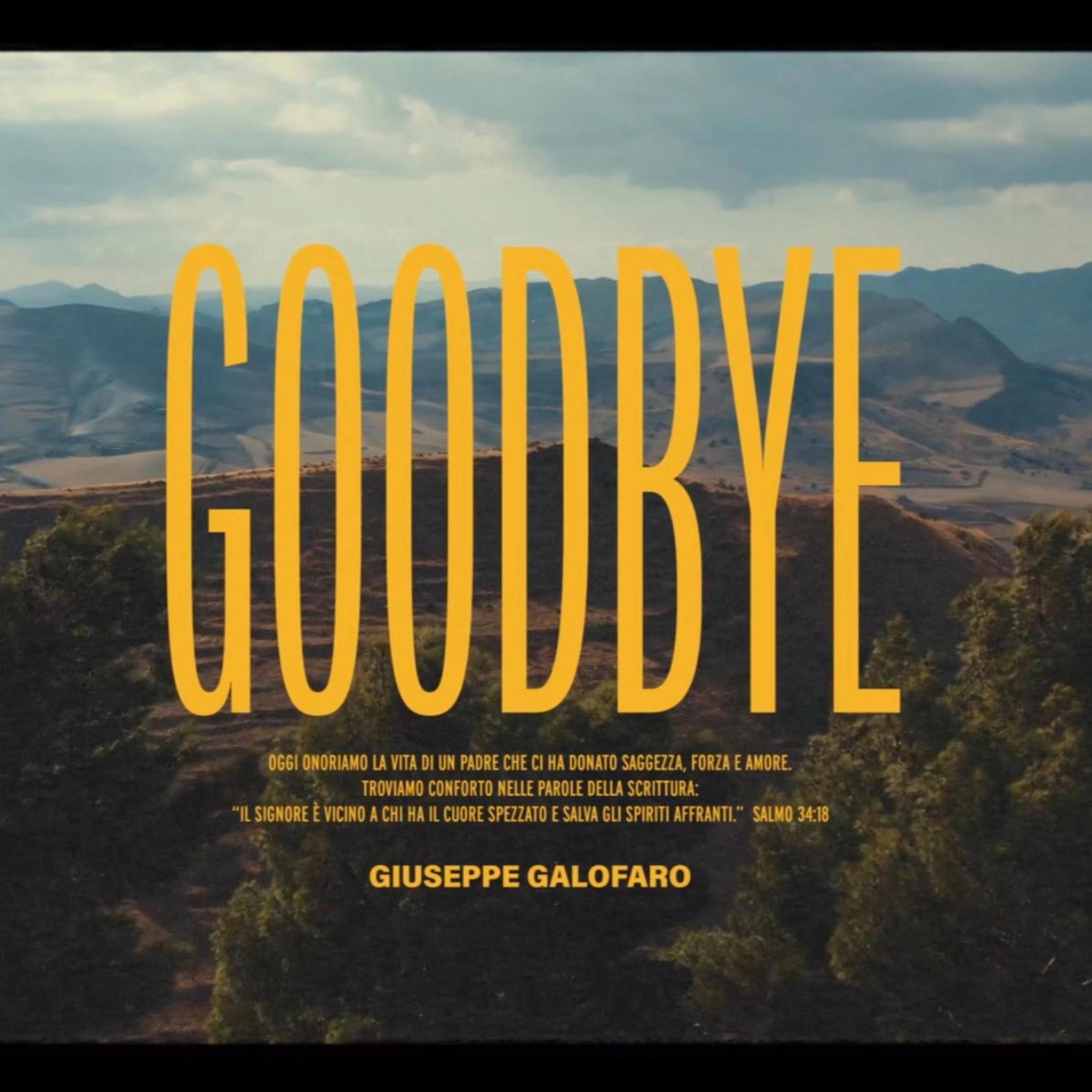 Goodbye - Single