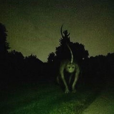 pay me no mind - Single