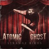 Atomic Ghost - Black Wings