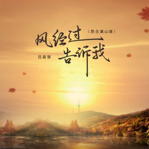 风经过告诉我 (思念满山坡) - Single