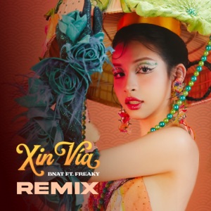 Xin vía (feat. Freaky) [BNAT ft Freaky Remix]