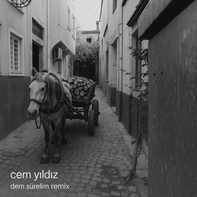 Dem Sürelim (Remix) - Single