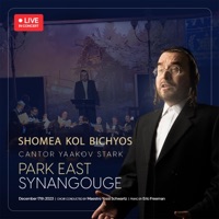 Shomea Kol Bichyos - שומע קול בכיות - Single - Yaakov Stark