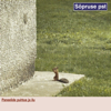 Paneelide puhtus ja ilu - Sõpruse Puiestee new Single