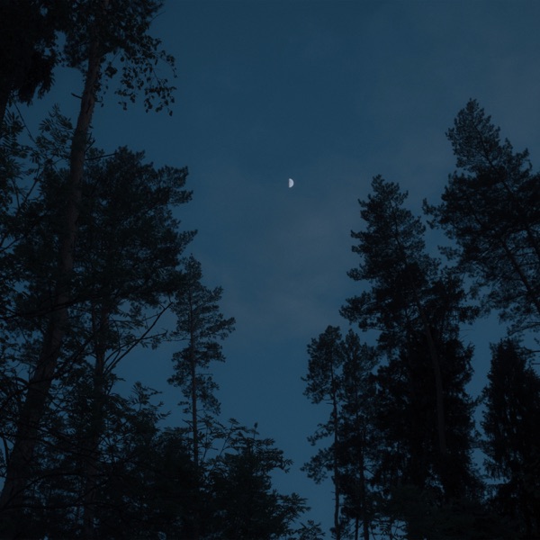 beginning - Single